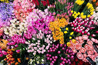 经营模拟游戏《StarKeeper》Steam页面上线 支持简中